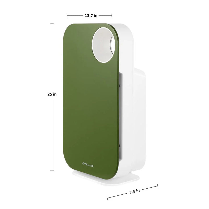 Oval Air Purifier - Puck's