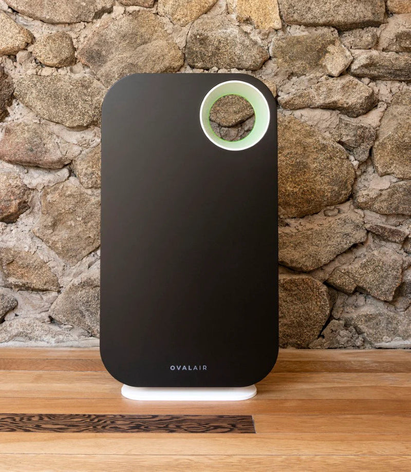 Oval Air Purifier - Puck's