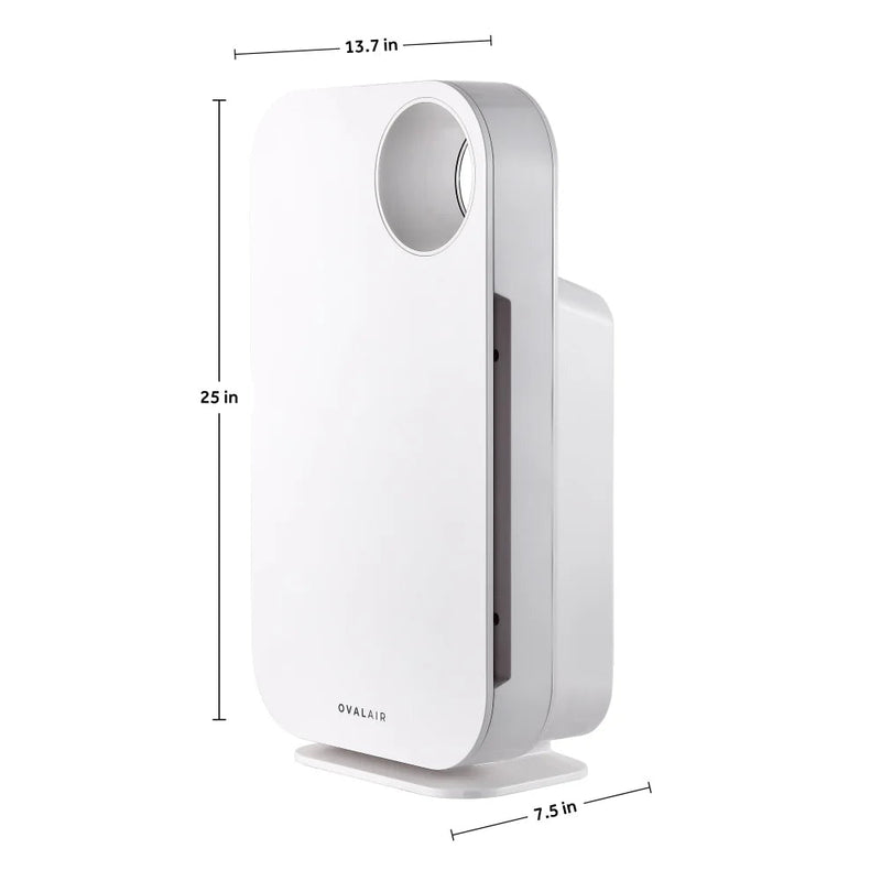 Oval Air Purifier - Puck's