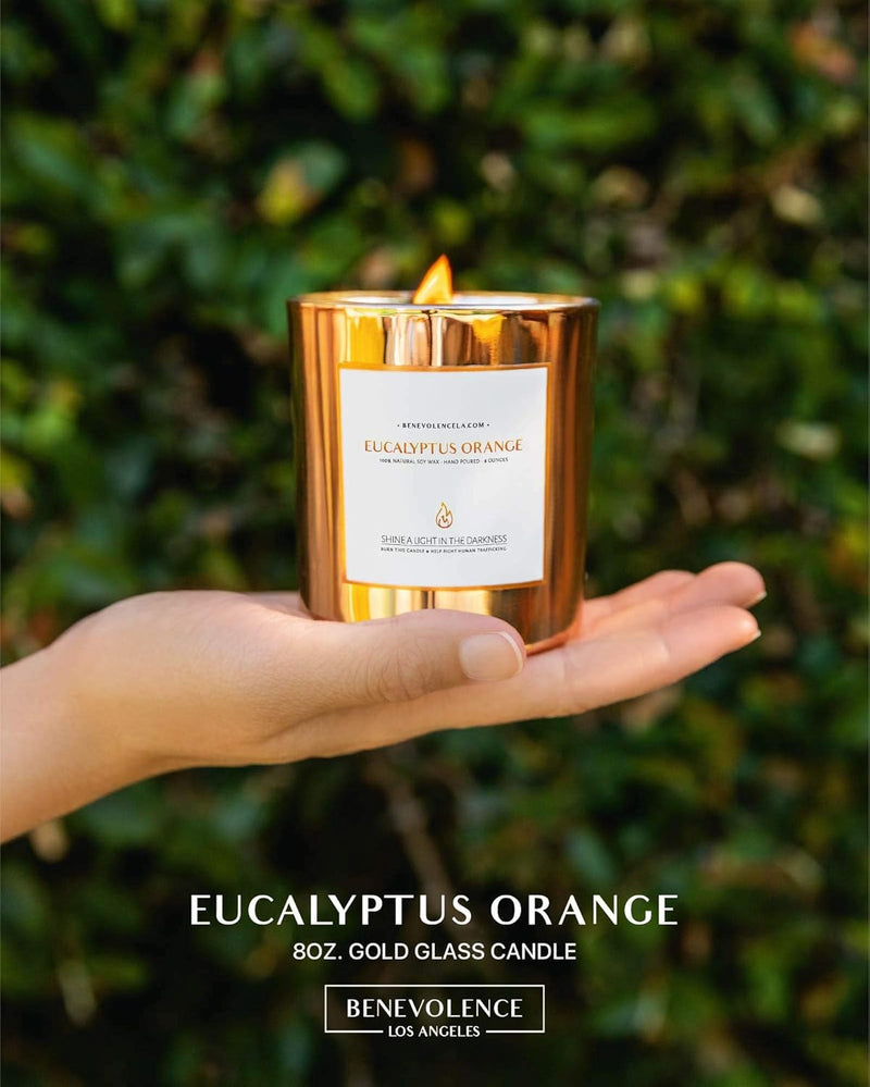 Eucalyptus Orange Wood Wick Candles | Soy Candles, Black Candle for Home | Gifts for Women and Men | Home Fragrance | Aromatherapy | Shelf Decor, Bathroom Freshener | 8Oz, 45 Hour Burn - Puck's