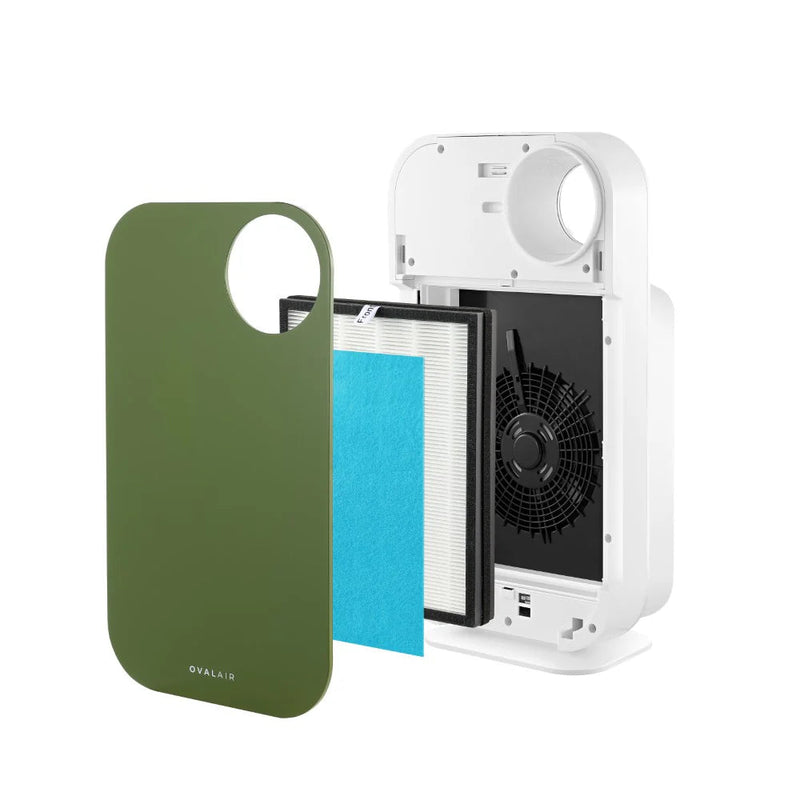 Oval Air Purifier - Puck's