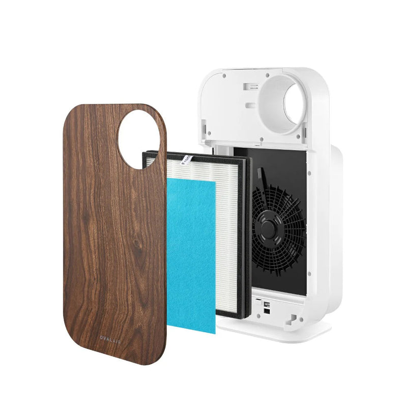 Oval Air Purifier - Puck's