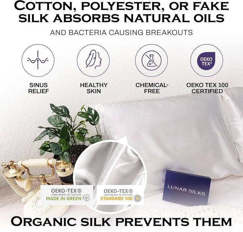 Highest Grade 6A 100% Pure Mulberry Real Silk Pillowcase 22 Momme (Both Sides) for Hair and Skin - Acne Free - 1PC in Gift Box (Sterling Silver, Queen) - Puck's