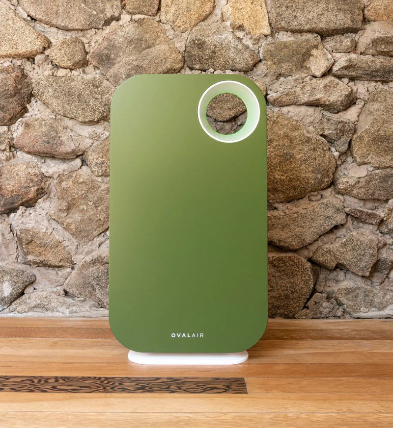 Oval Air Purifier - Puck's