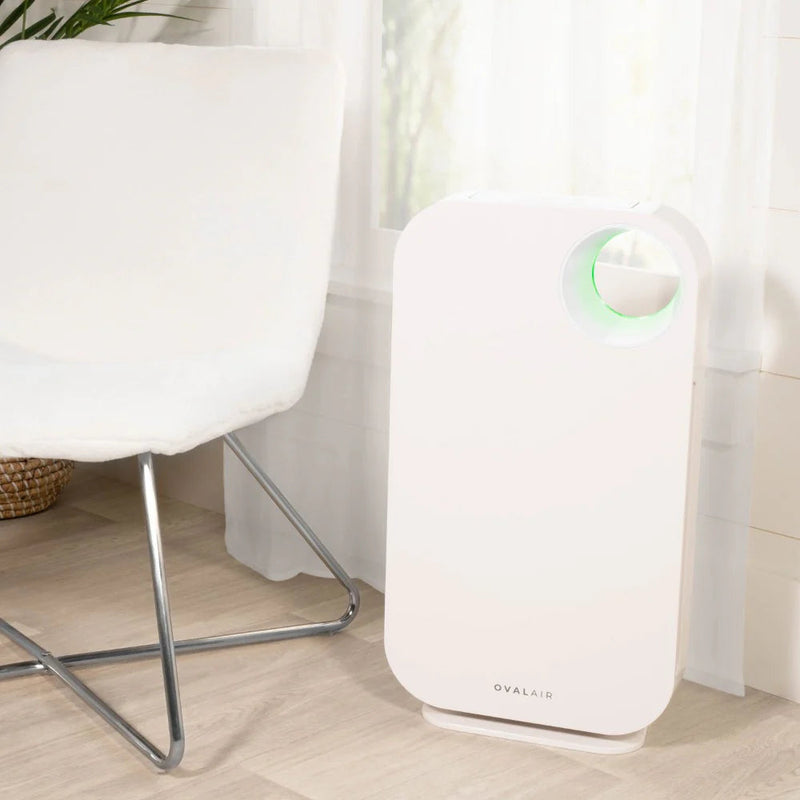 Oval Air Purifier - Puck's