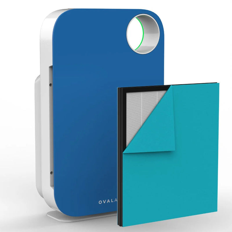 Oval Air Purifier - Puck's