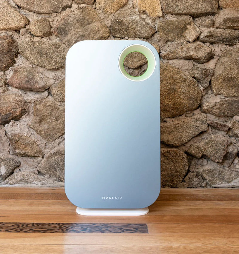 Oval Air Purifier - Puck's