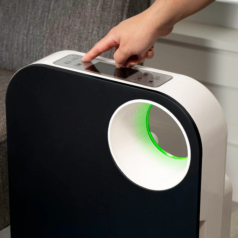 Oval Air Purifier - Puck's