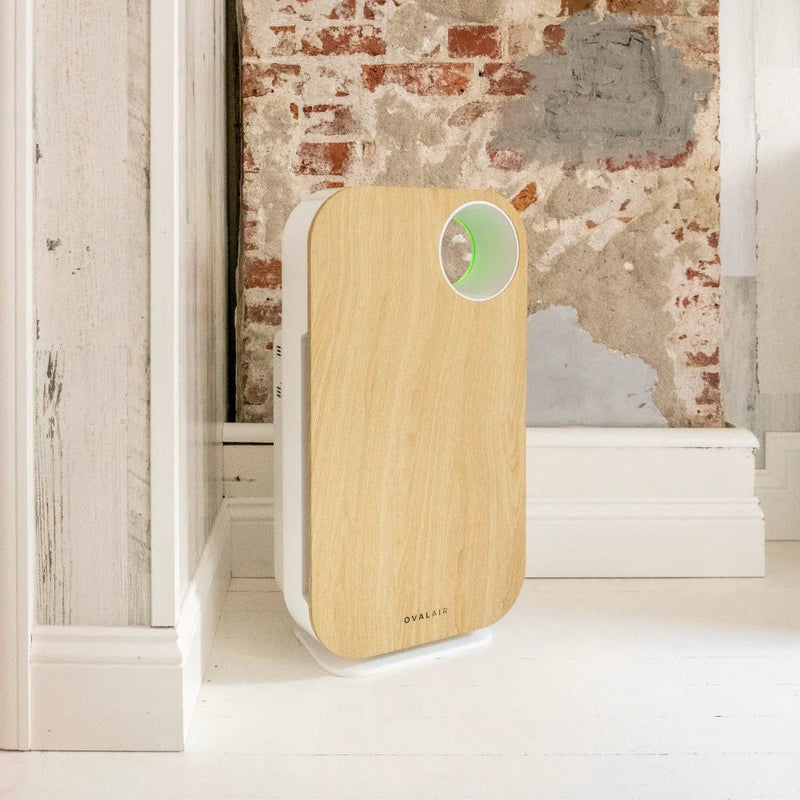 Oval Air Purifier - Puck's