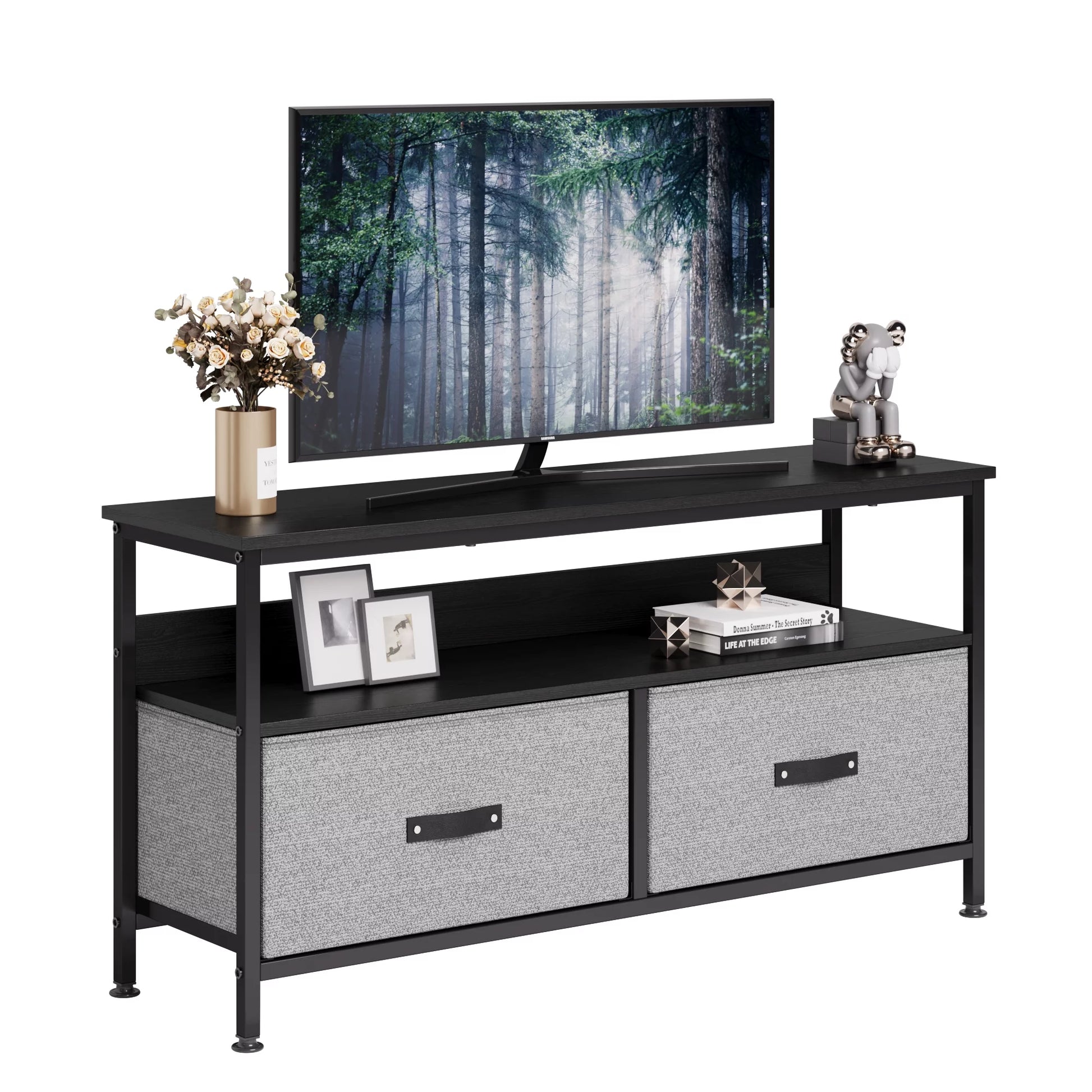 Dresser TV Stand 2-Drawers, 50 Inch TV Stand for Bedroom Small TV Stand Dresser with Shelves, TV & Media Console Table Furniture - Puck's