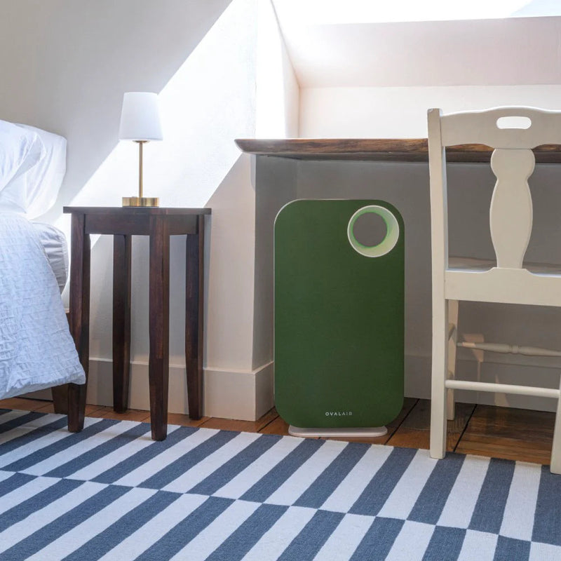 Oval Air Purifier - Puck's