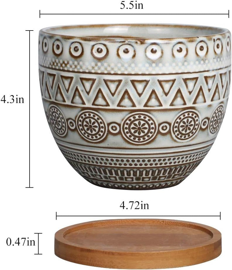 5.5In Geometry Ceramic Planter Large round Succulent Planter Flower Pot Indoor and Outdoor Brown Set of 2 - Puck's