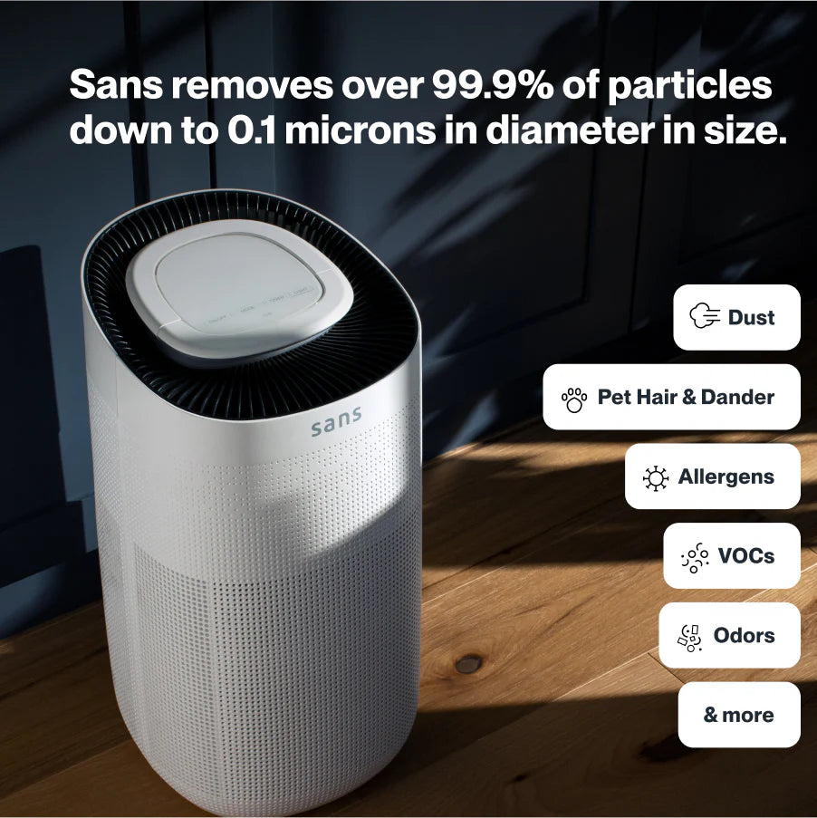 Air Purifier - Puck's