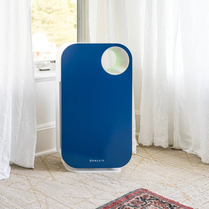 Oval Air Purifier - Puck's