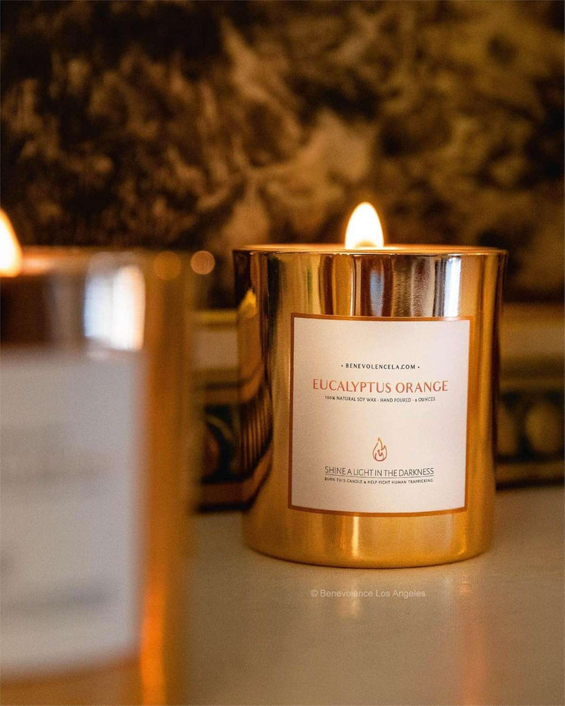 Eucalyptus Orange Wood Wick Candles | Soy Candles, Black Candle for Home | Gifts for Women and Men | Home Fragrance | Aromatherapy | Shelf Decor, Bathroom Freshener | 8Oz, 45 Hour Burn - Puck's