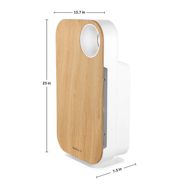 Oval Air Purifier - Puck's
