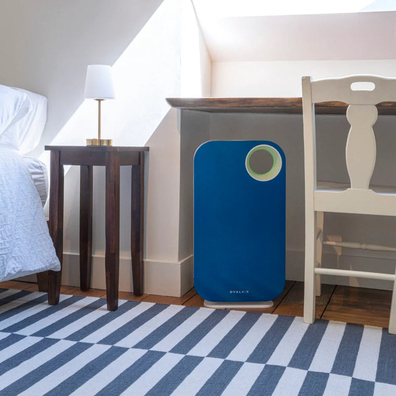 Oval Air Purifier - Puck's