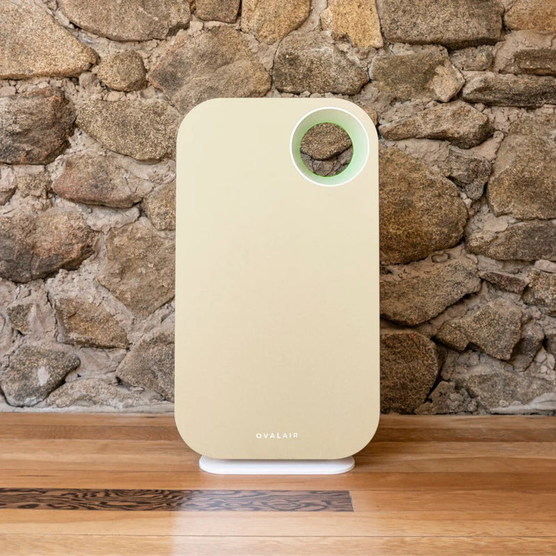 Oval Air Purifier - Puck's
