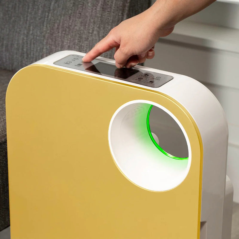 Oval Air Purifier - Puck's