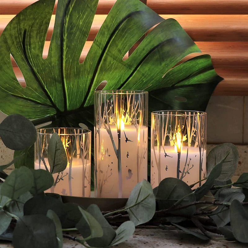 Birch Design Glass Battery Operated LED Candles with Timer, Flameless Pillar Candles Spring & Summer Decor- Include 6 Batteries - Puck's