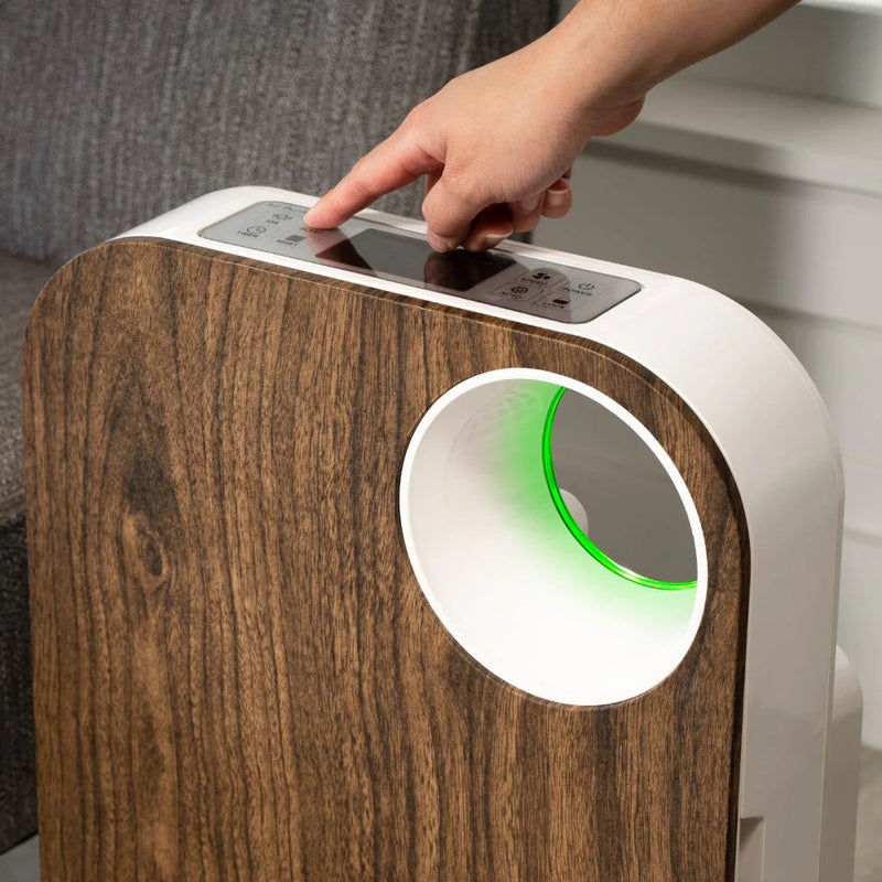 Oval Air Purifier - Puck's