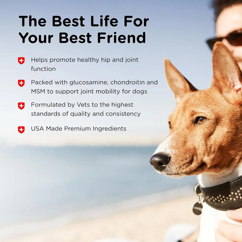 Advanced Strength Hip & Joint Chewable Dog Supplements - Formulated with Glucosamine & Chondroitin to Support Dog Cartilage & Mobility - 300 Tablets - Puck's