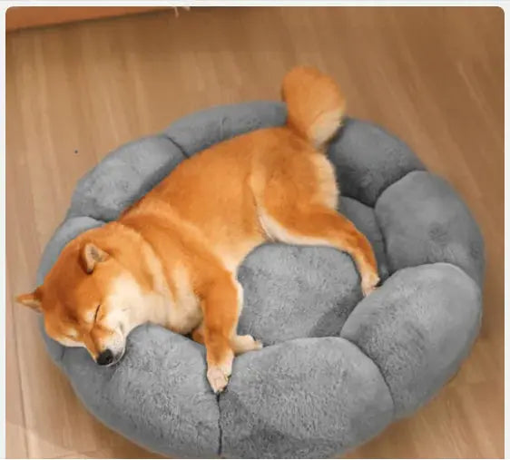 Calming Indoor Pet Beds - Puck's