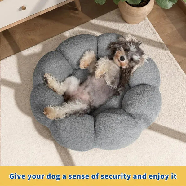 Calming Indoor Pet Beds - Puck's