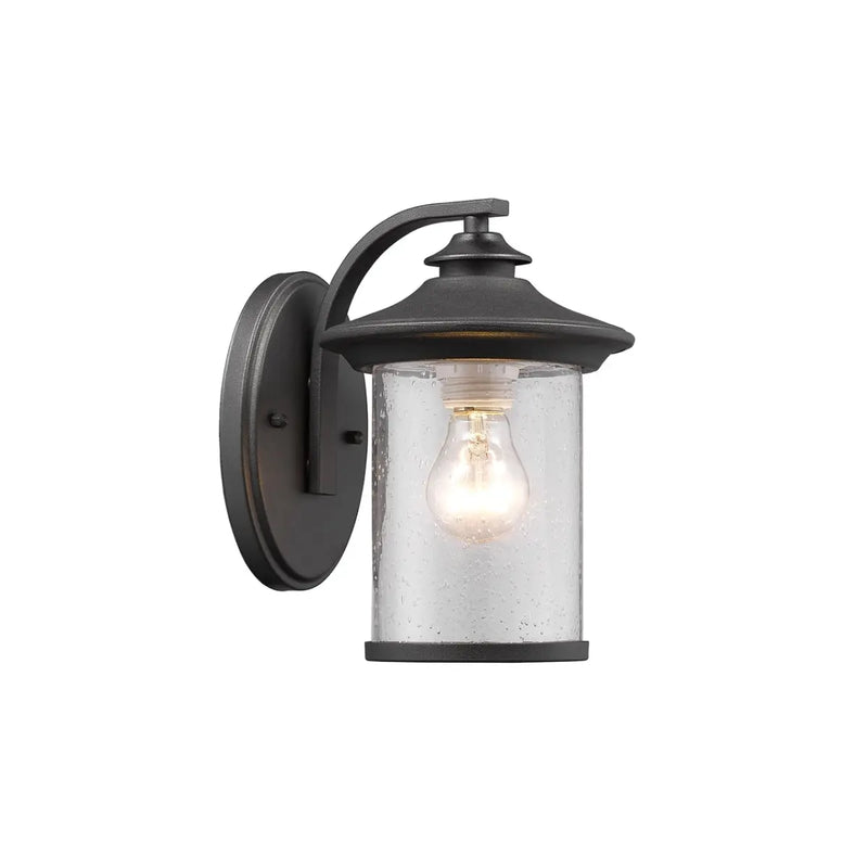 Chloe CH22050BK10-OD1 10 in. Lighting Liam Transitional 1 Light Black - Puck's