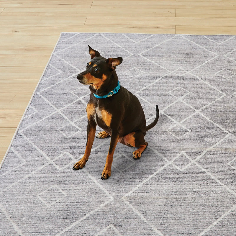 Diamond Machine Washable Indoor Area Rug, Gray, 5'X7' - Puck's