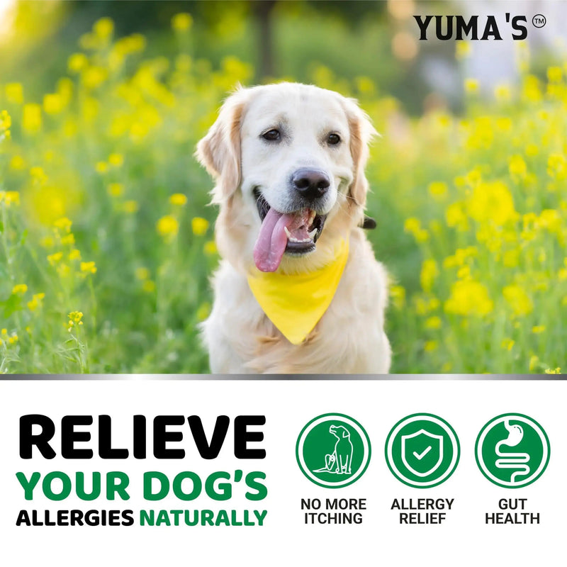 Dog Allergy Relief Chews Dog Itching Skin Relief Treatment Pills 170 Treats - Puck's