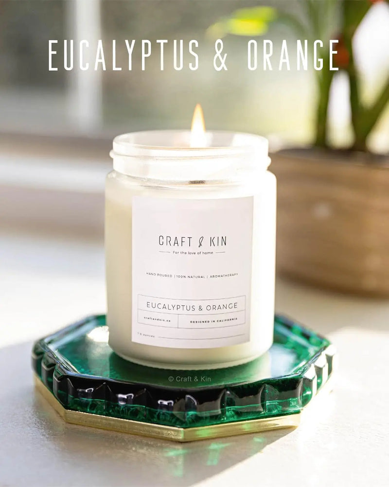 Eucalyptus Scented Candle | 8 Oz 45 Hour Long Lasting | Classic Soy Candles Wood Wick | Made with Natural Soy | Gifts for Men and Women - Puck's