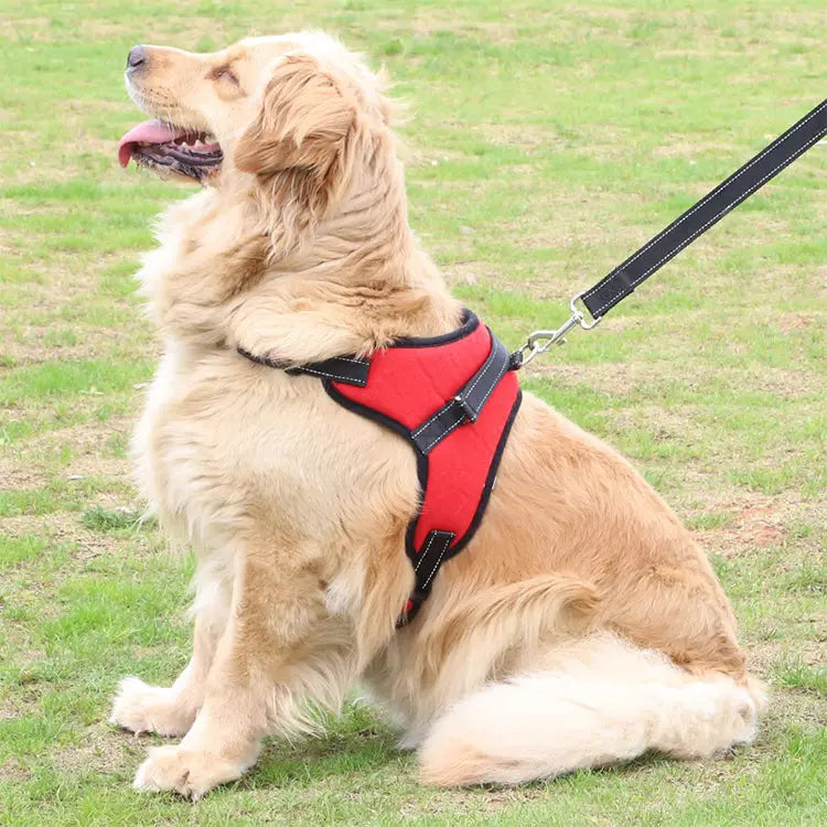 Fast Shipping Adjustable Dog Pet Harness - Puck's