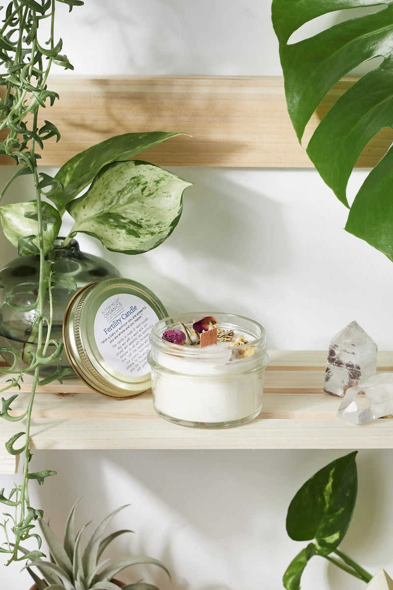 Fertility candle / crystal candle / abundance candle / butter me up - Puck's