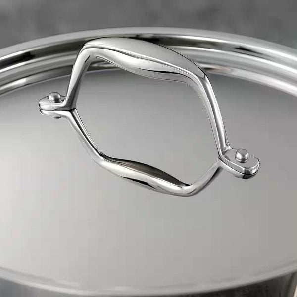 Stainless Steel Tri-Ply Clad 5-Quart Dutch Oven with Lid-1