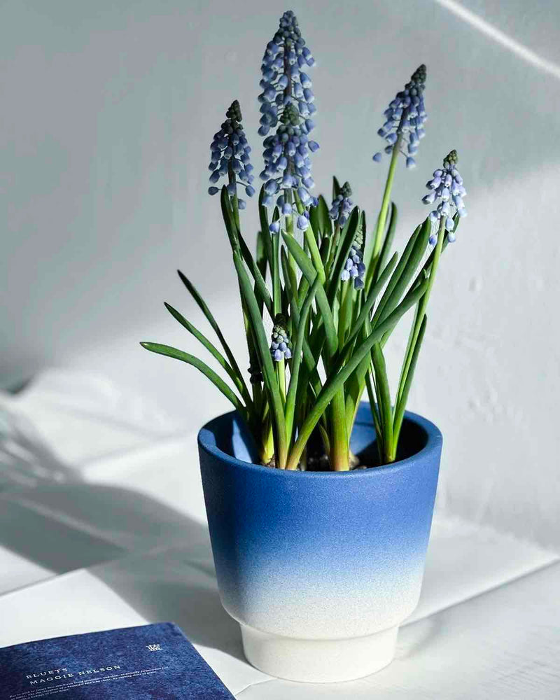 Handmade Macaron Flower Pots, Dopamine Indoor / Outdoor Garden Planter - Puck's