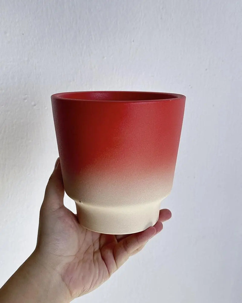 Handmade Macaron Flower Pots, Dopamine Indoor / Outdoor Garden Planter - Puck's