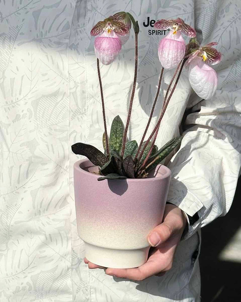 Handmade Macaron Flower Pots, Dopamine Indoor / Outdoor Garden Planter - Puck's