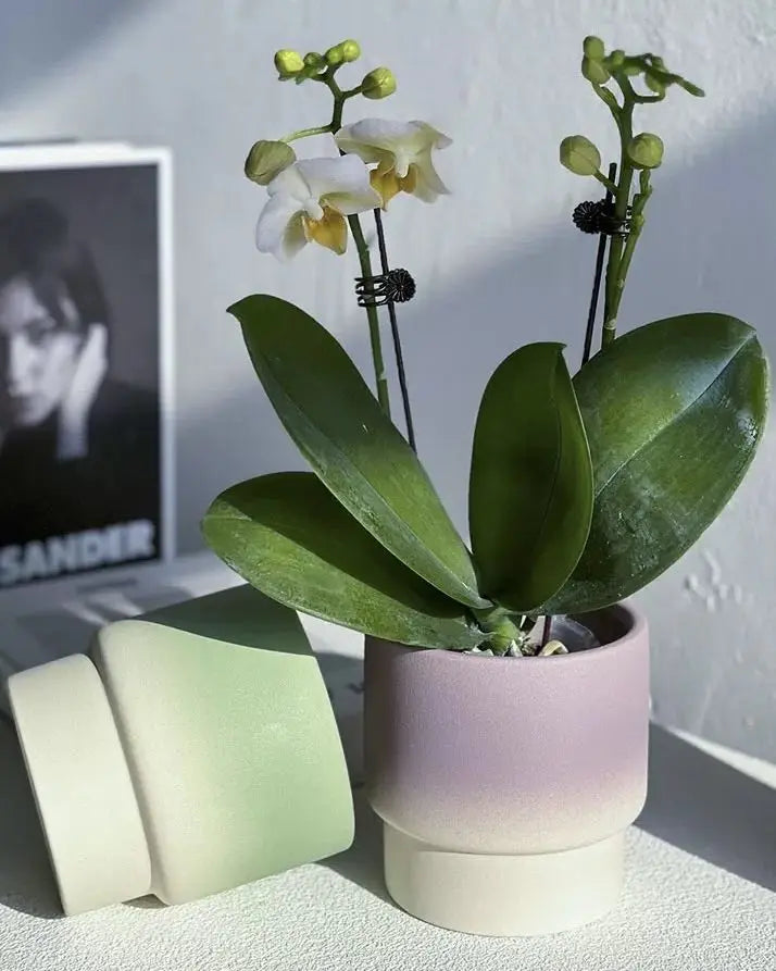 Handmade Macaron Flower Pots, Dopamine Indoor / Outdoor Garden Planter - Puck's