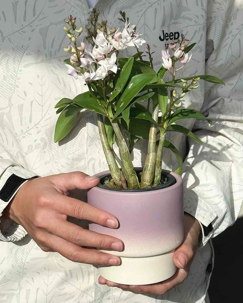 Handmade Macaron Flower Pots, Dopamine Indoor / Outdoor Garden Planter - Puck's