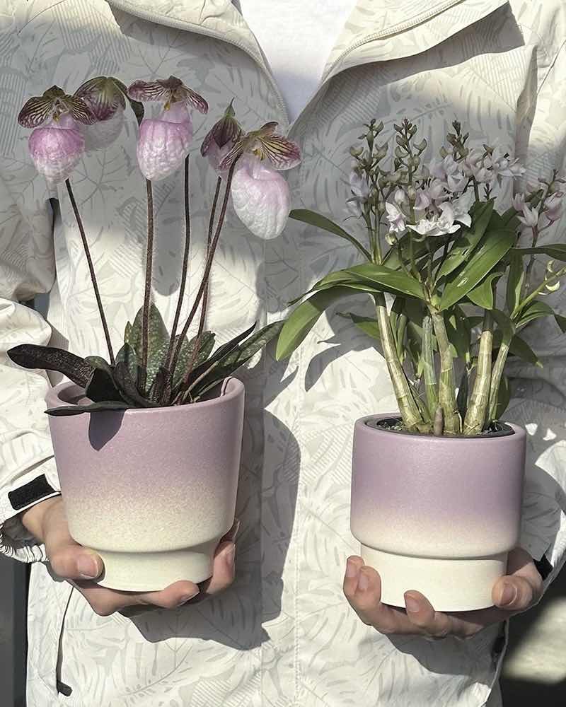 Handmade Macaron Flower Pots, Dopamine Indoor / Outdoor Garden Planter - Puck's