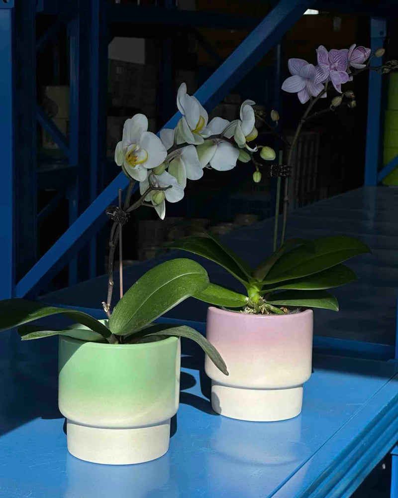 Handmade Macaron Flower Pots, Dopamine Indoor / Outdoor Garden Planter - Puck's