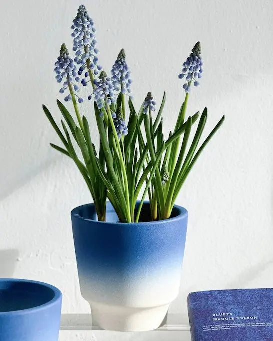 Handmade Macaron Flower Pots, Dopamine Indoor / Outdoor Garden Planter - Puck's
