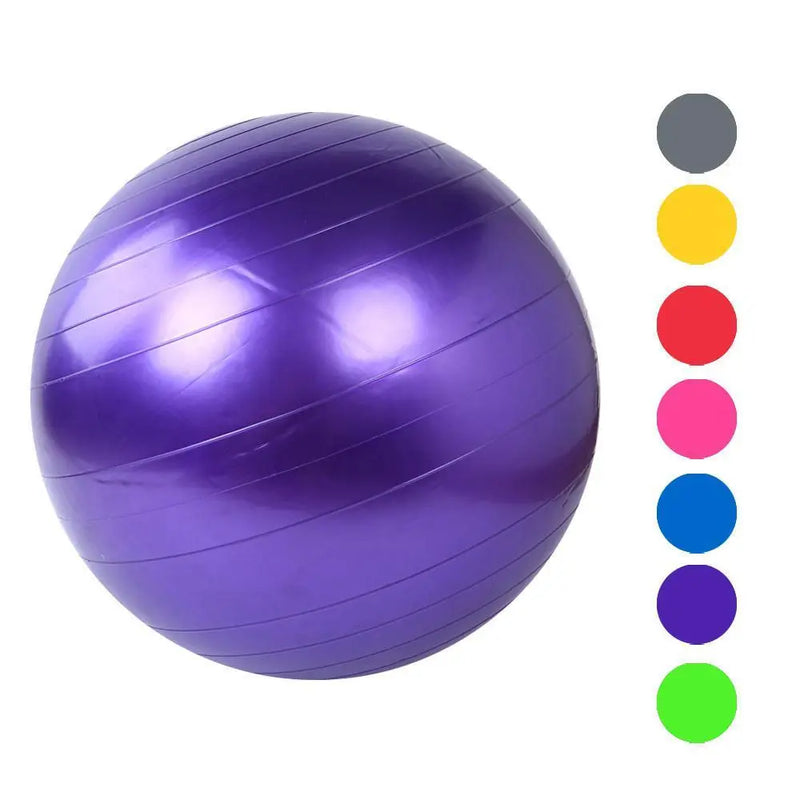Home Exercise Fitness Yoga Ball - Puck's