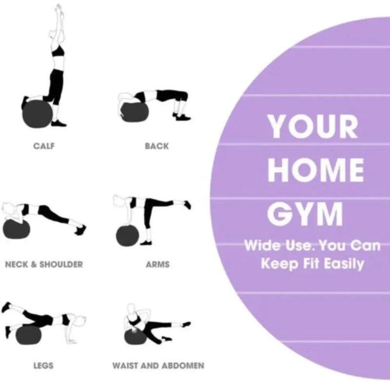 Home Exercise Fitness Yoga Ball - Puck's