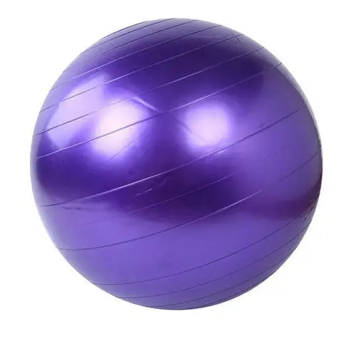 Home Exercise Fitness Yoga Ball - Puck's