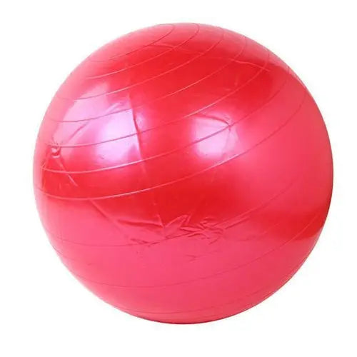 Home Exercise Fitness Yoga Ball - Puck's