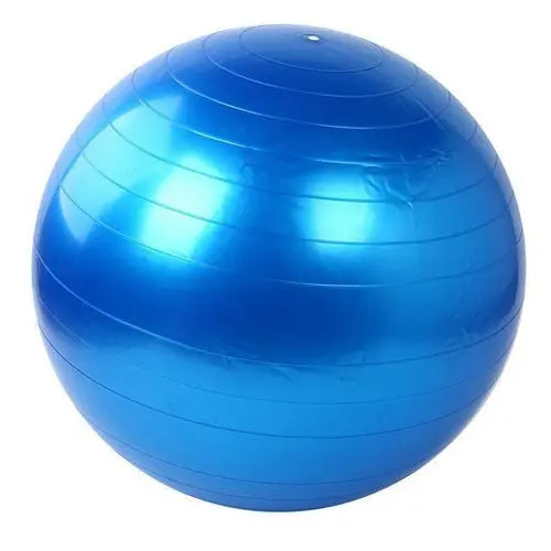 Home Exercise Fitness Yoga Ball - Puck's