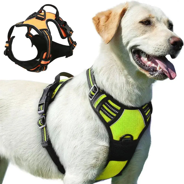 Large Dog Handle Leash - Puck's
