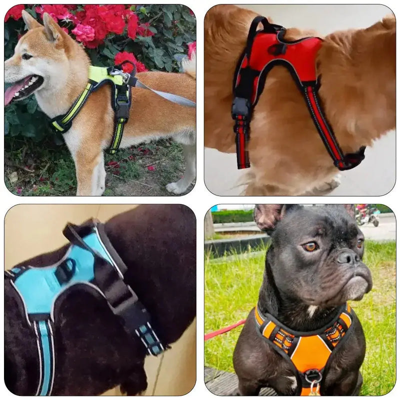 Large Dog Handle Leash - Puck's